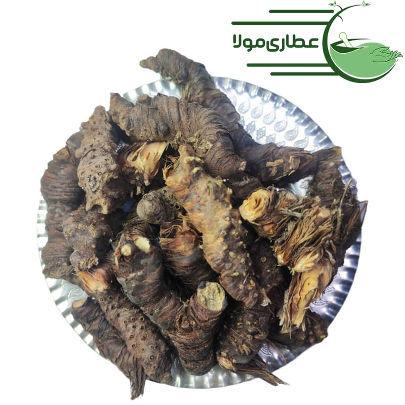 ریشه ایریسا — تصویر ۳