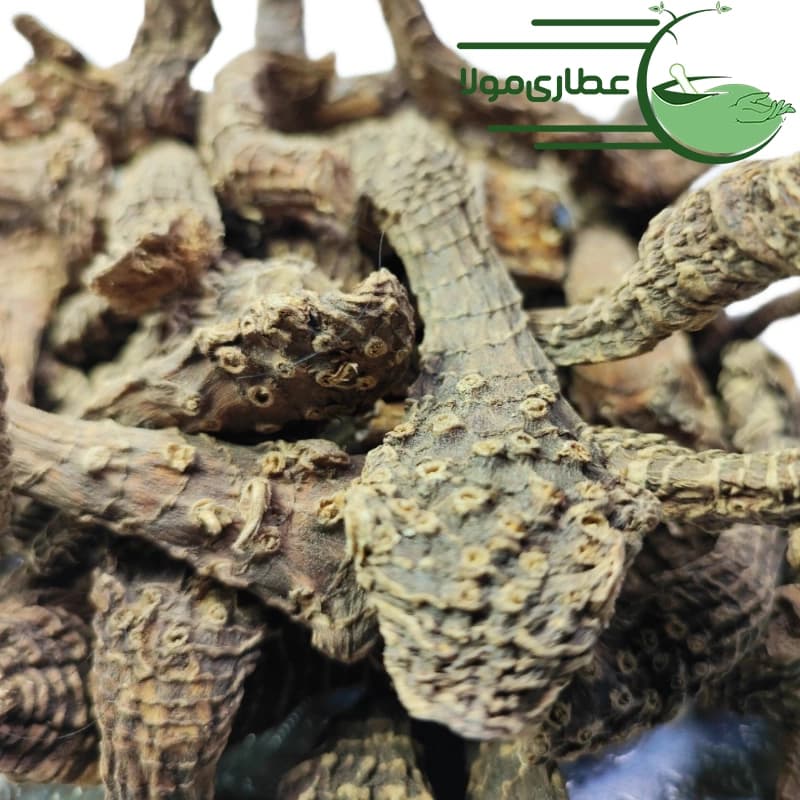 درونج عقربی