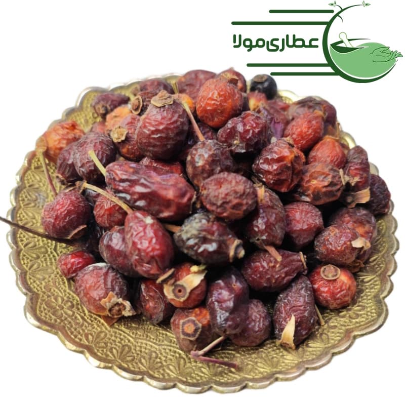 میوه گل نسترن — تصویر ۳