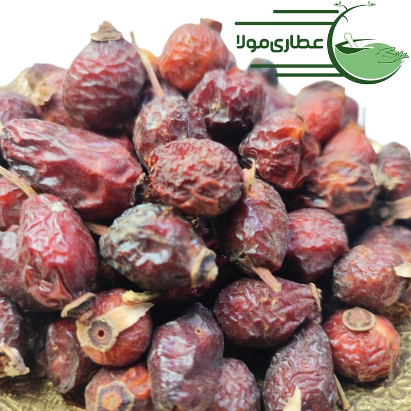میوه گل نسترن