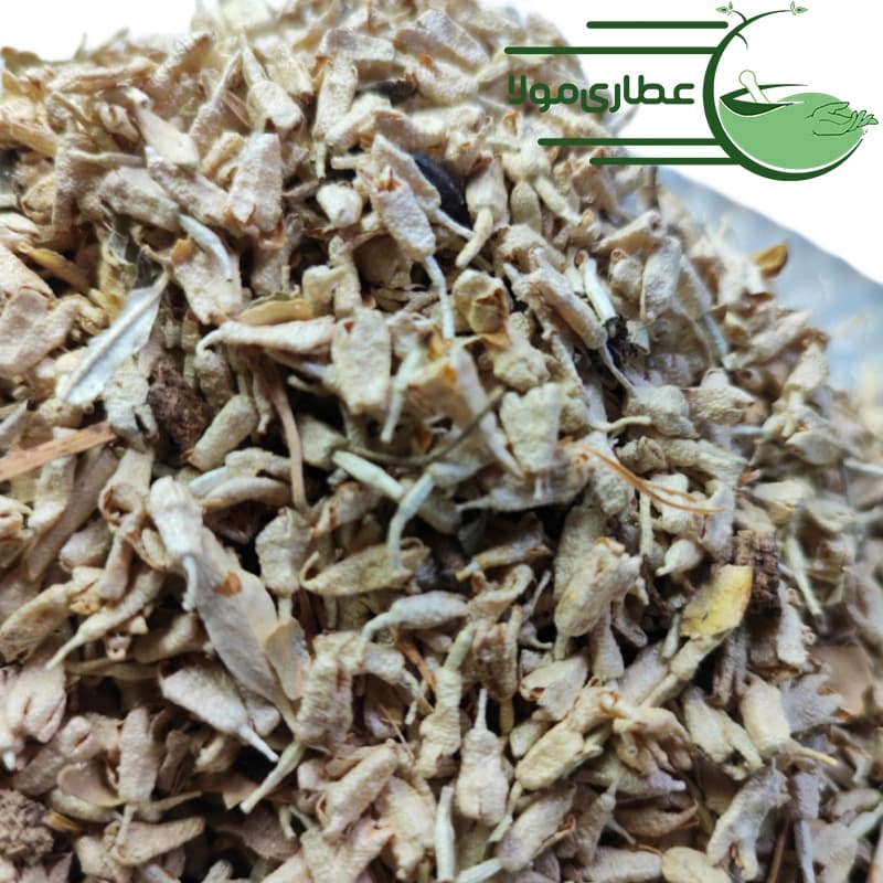 گل سنجد
