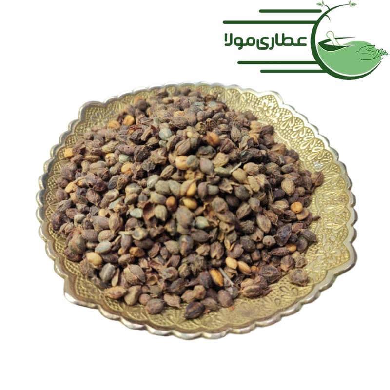 حب بلسان — تصویر ۳