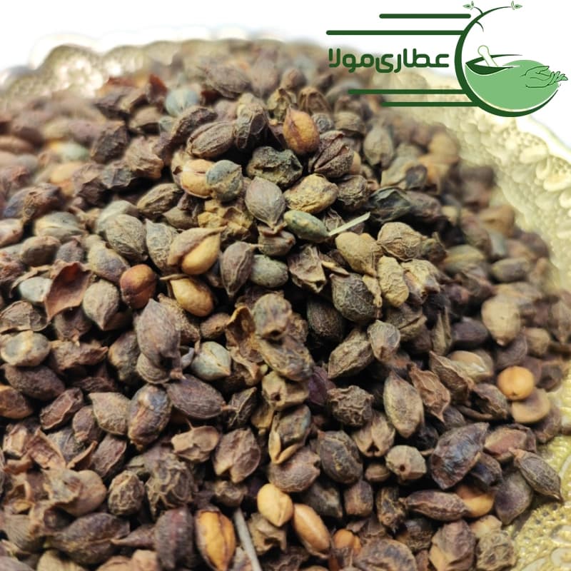 حب بلسان