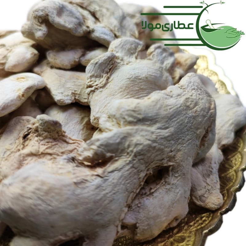 زنجبیل سفید