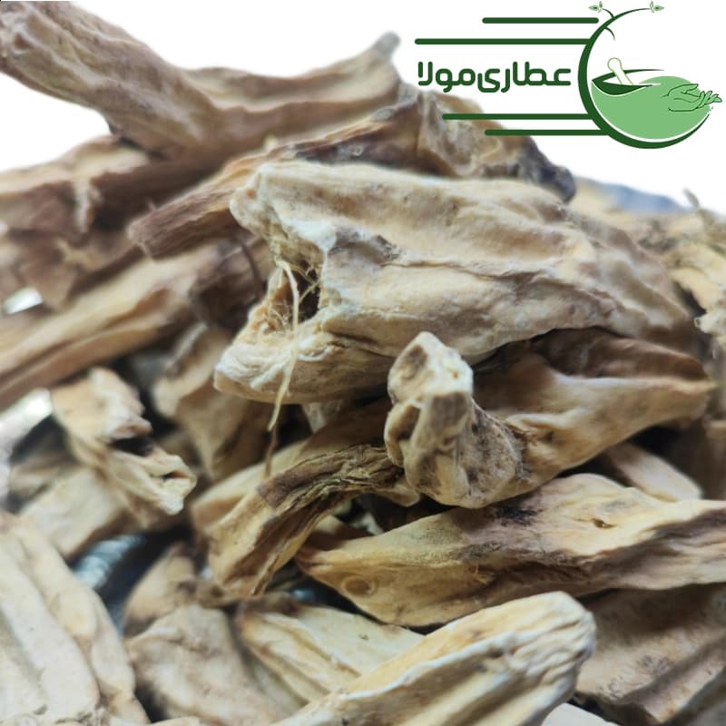 بهمن سفید