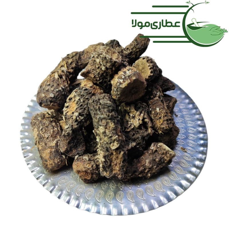 کندش سوری — تصویر ۳