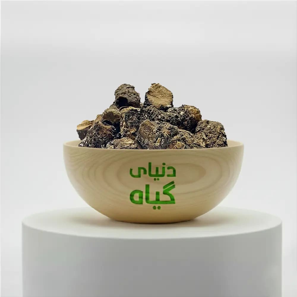 کندش سوری — تصویر ۴