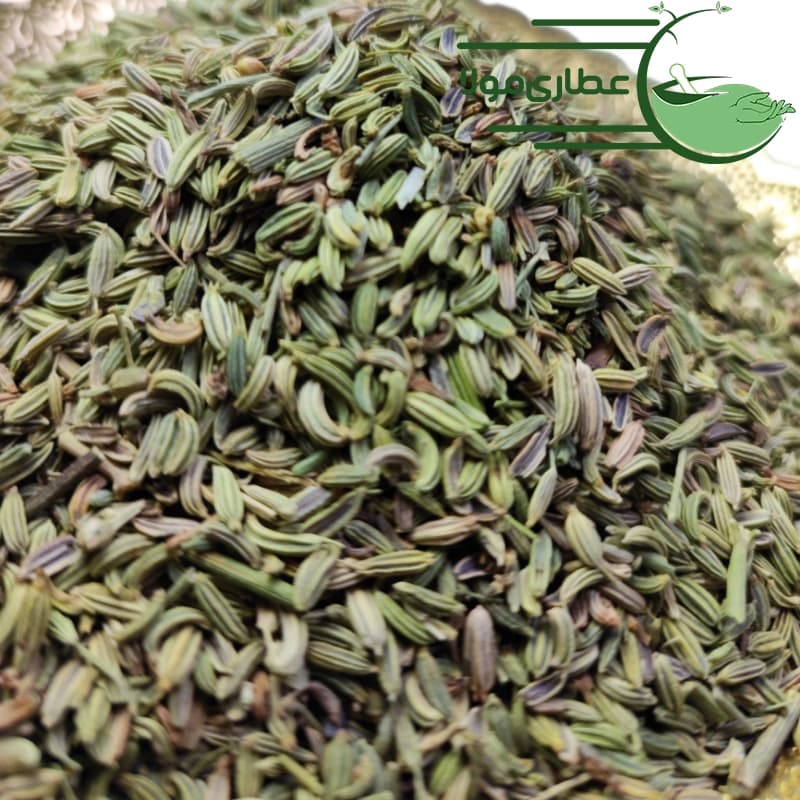رازیانه – بادیان