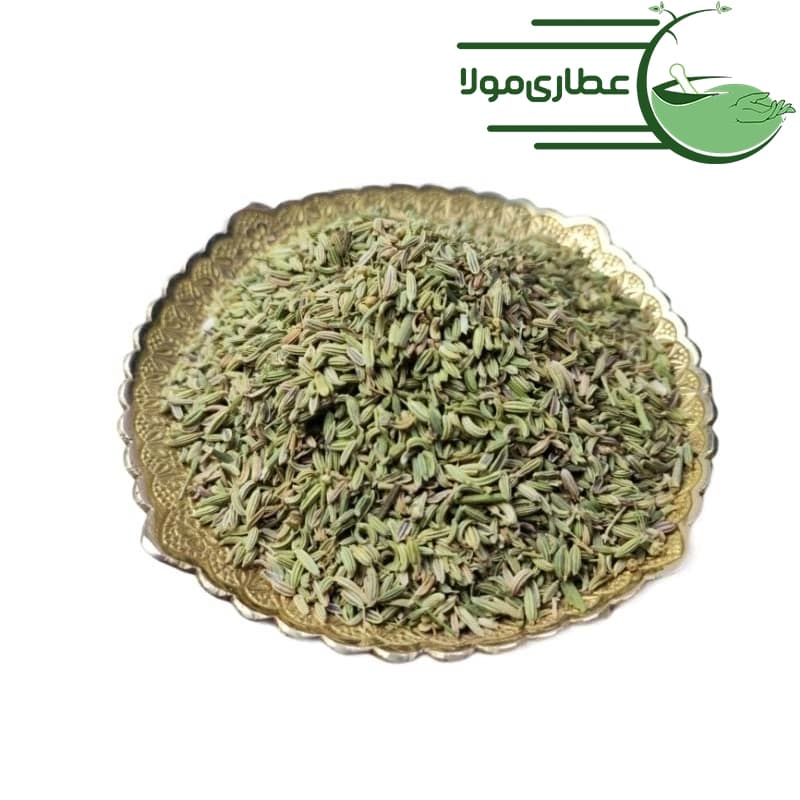 رازیانه – بادیان — تصویر ۲