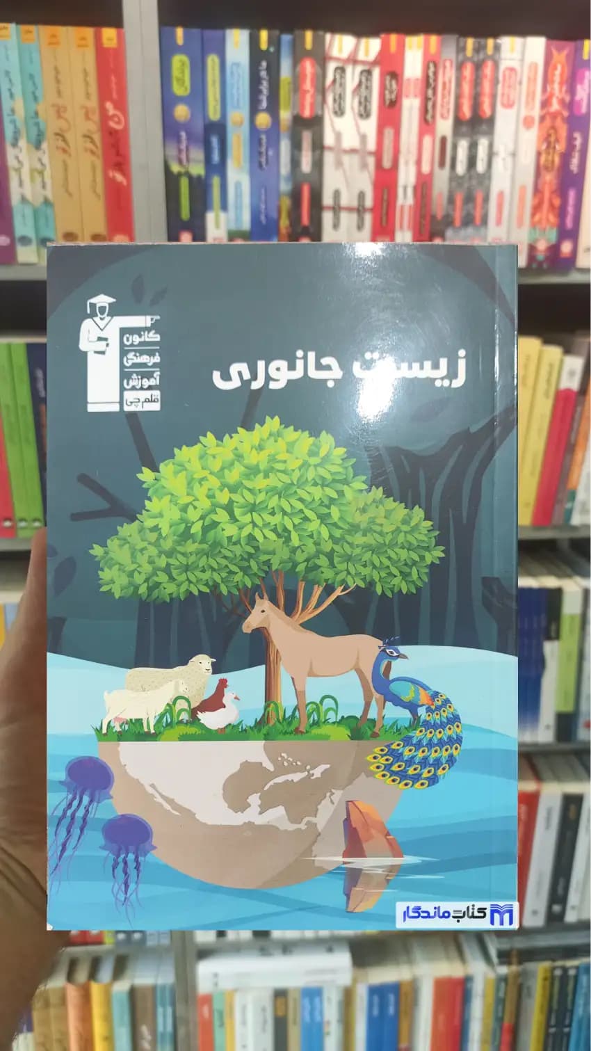 زیست جانوری قلم چی — تصویر ۲