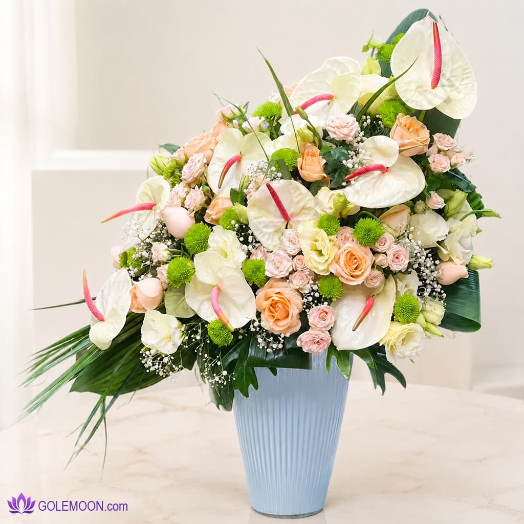 باکس گل پاشایی