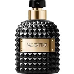 عطر ادکلن والنتینو یومو نویر ابسولو-Valentino Uomo Noir Absolu