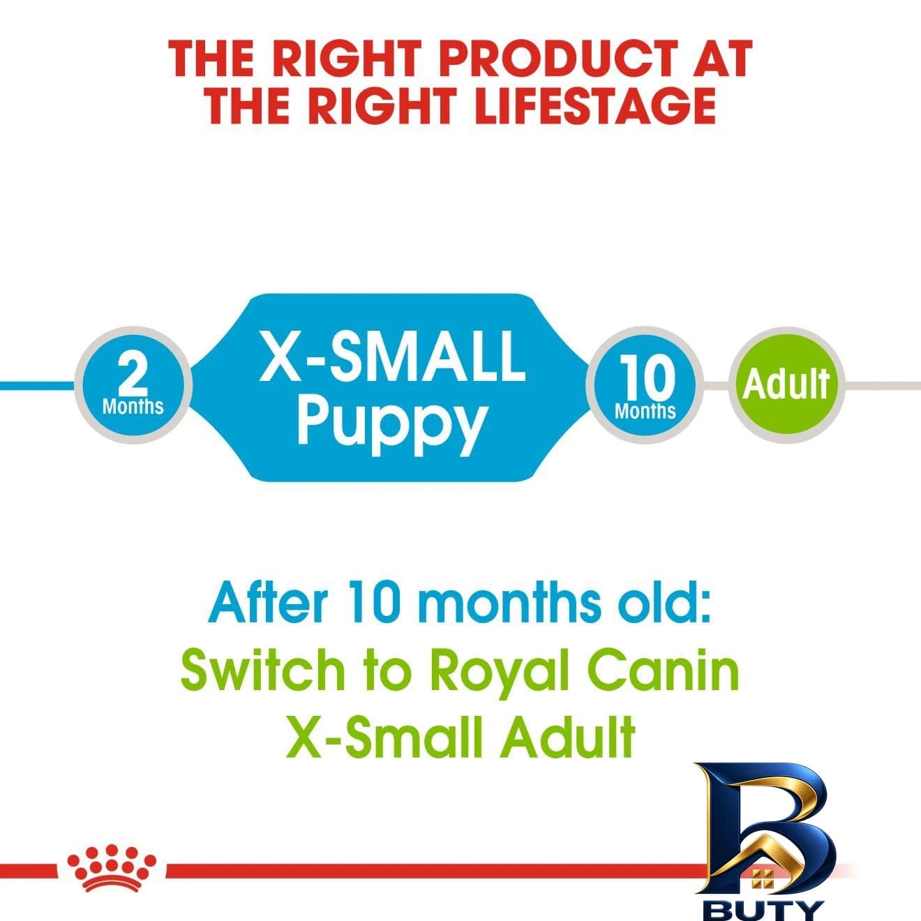 غذای خشک سگ رویال کنین مدل puppy x-small با وزن 1.5 کیلوگرم — تصویر ۷