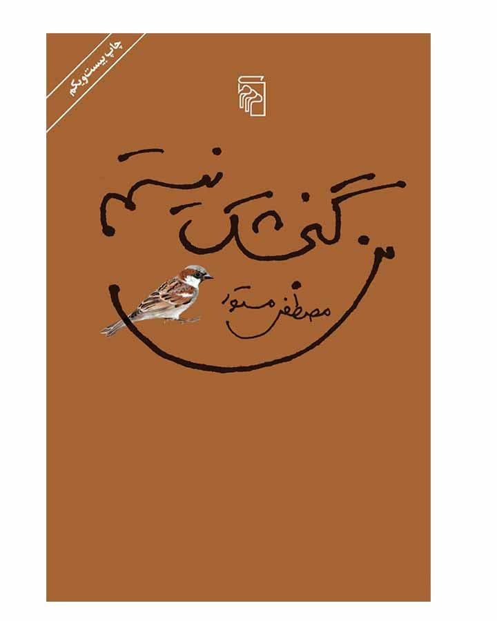 من گنجشك نيستم اثر مصطفي مستور