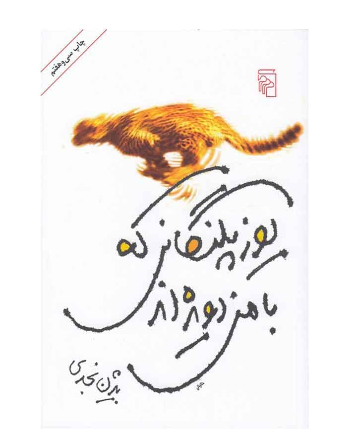 يوز پلنگاني كه بامن دويده اثر بيژن نجدي