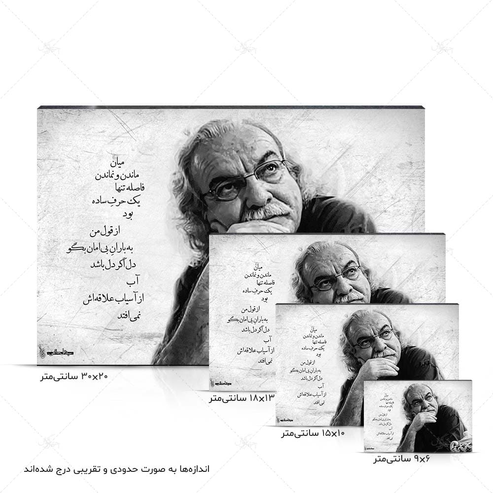 تابلو شاسی طرح سید علی صالحی کد 4G26 — تصویر ۴
