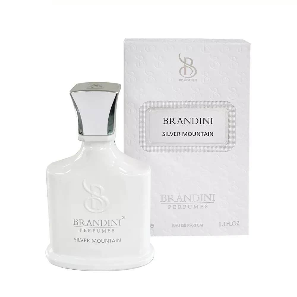 عطر جیبی برندینی مدل Silver Mountain حجم 33 میلی لیتر