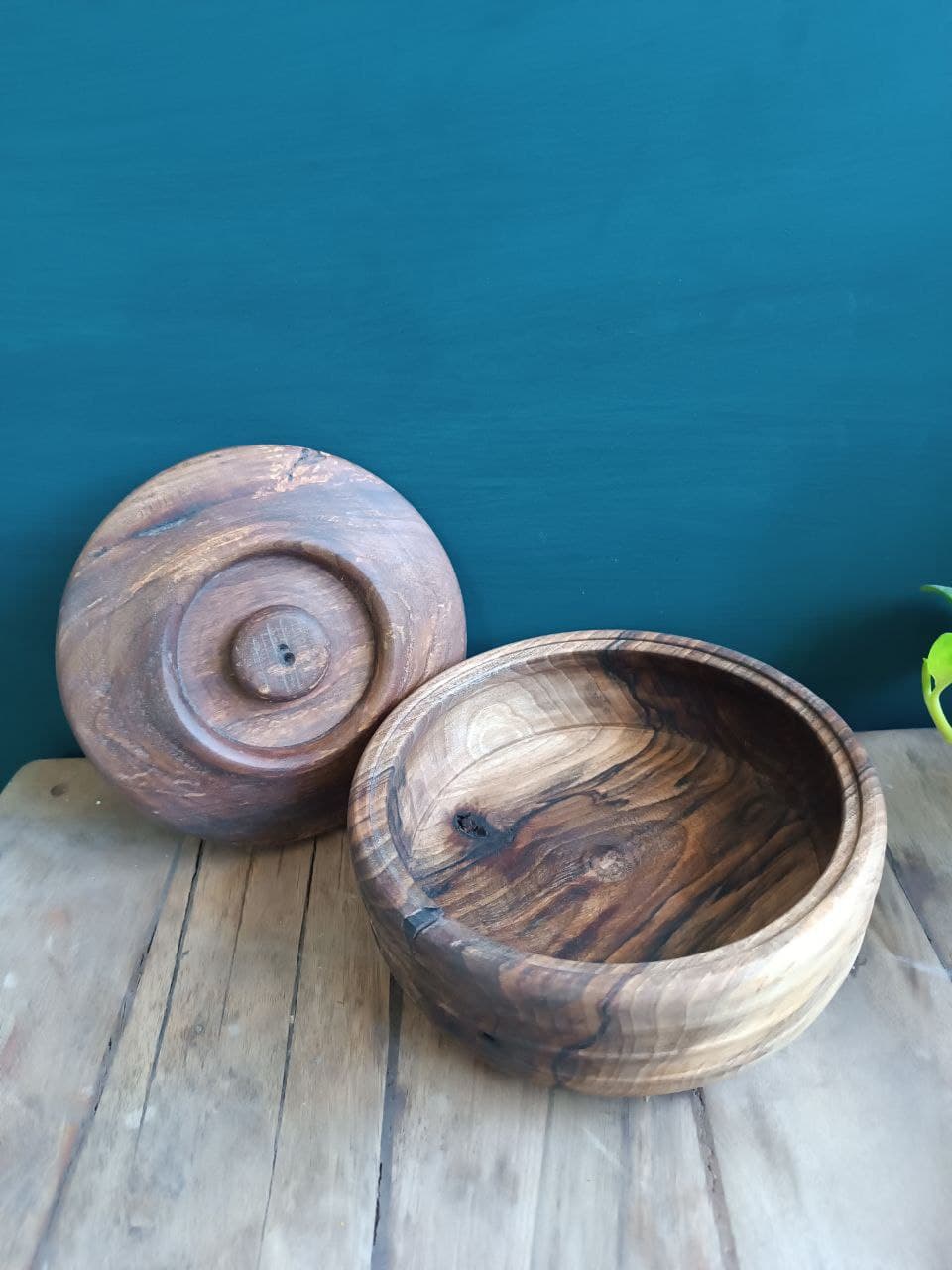 گزخوری چوبی — تصویر ۴