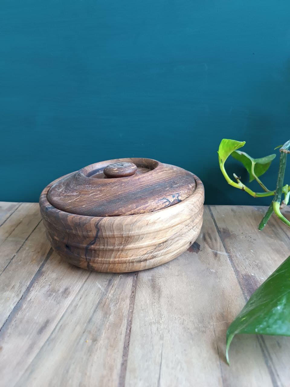 گزخوری چوبی — تصویر ۲
