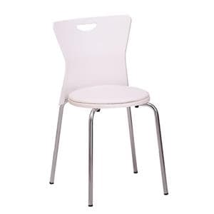 چهارپایه نظری مدل N590