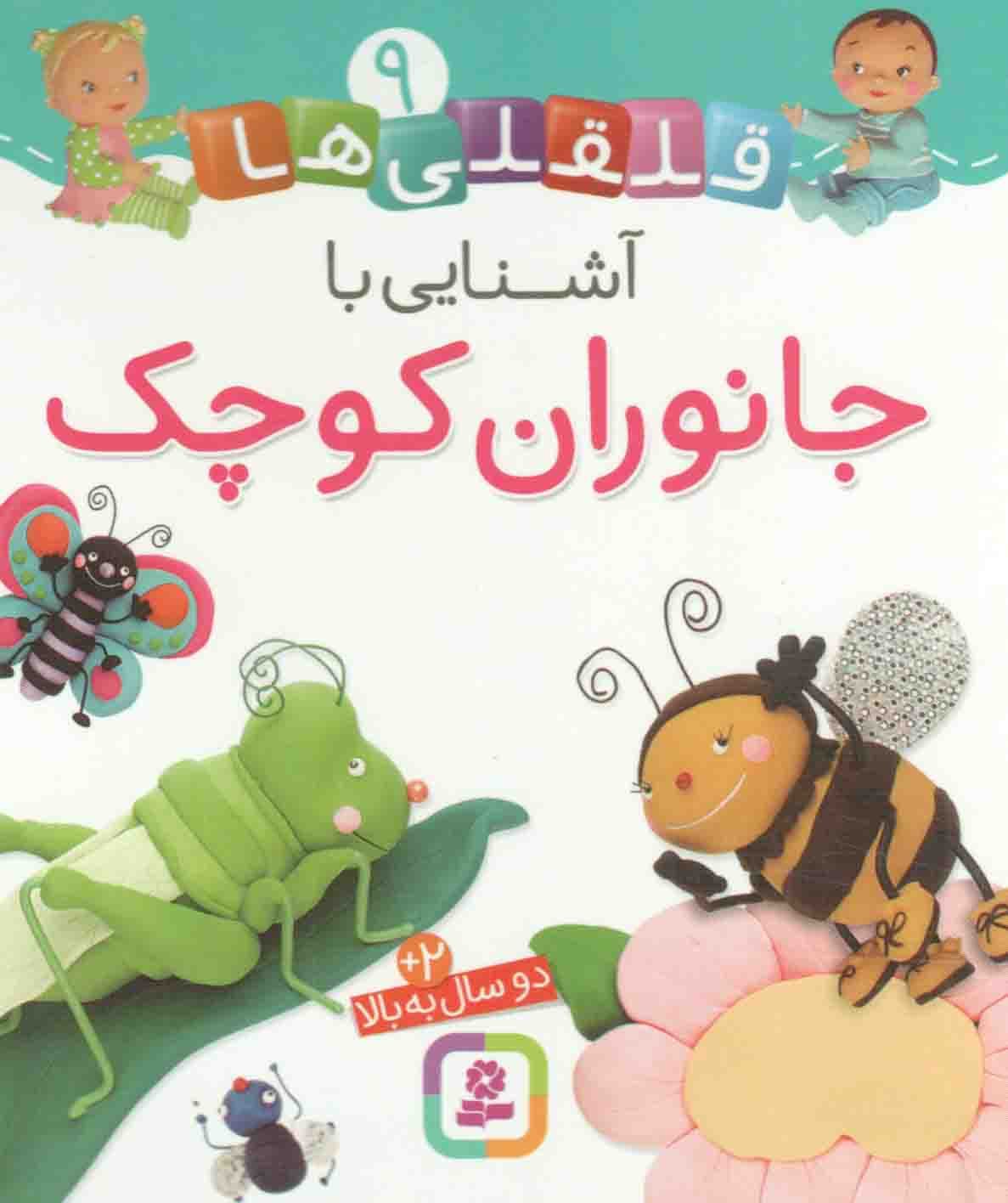 آشنایی با جانوران کوچک – قلقلی ها 09 (دو ساله به بالا) (بورد بوک)