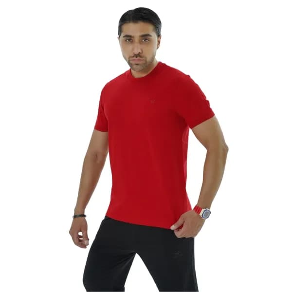 تیشرت یقه گرد مردانه درفش کد 115 — تصویر ۵