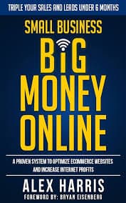 کتاب Small Business Big Money Online: A Proven System to Optimize eCommerce and Build an Online Business (کسب‌وکار کوچک، درآمد بزرگ آنلاین: یک سیستم اثبات‌شده برای بهینه‌سازی تجارت الکترونیک و ساخت کس