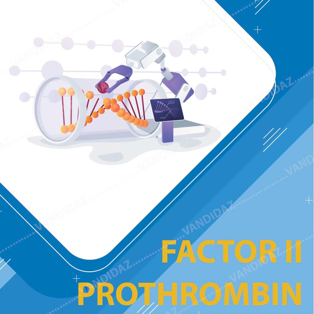 کیت تشخیص Factor-II-Prothrombin — تصویر ۲