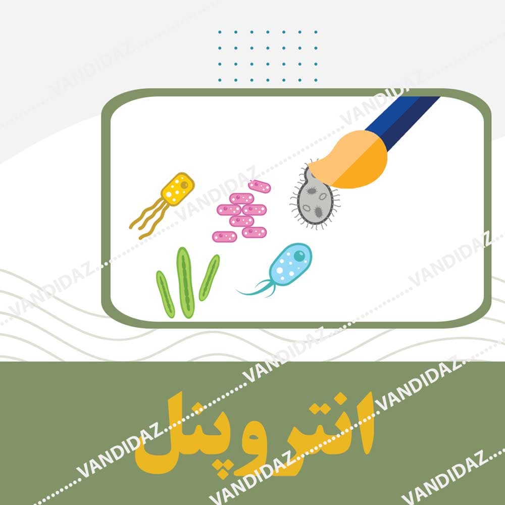 کیت انتروپنل