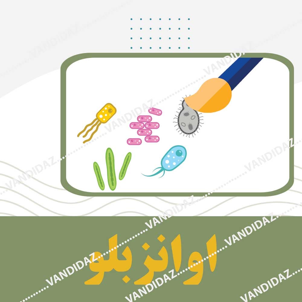 اوانزبلو