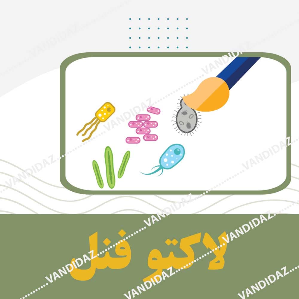 معرف لاکتو فنل کاتن بلو