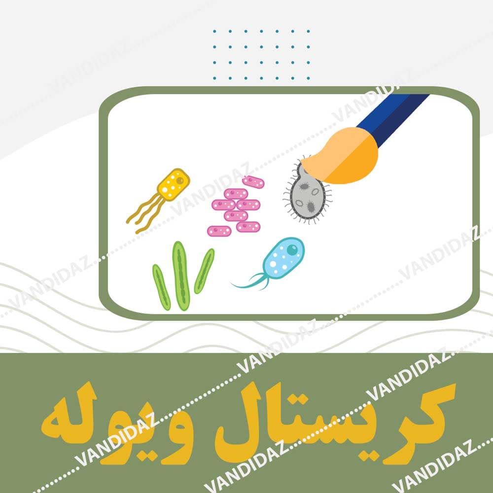 کریستال ویوله