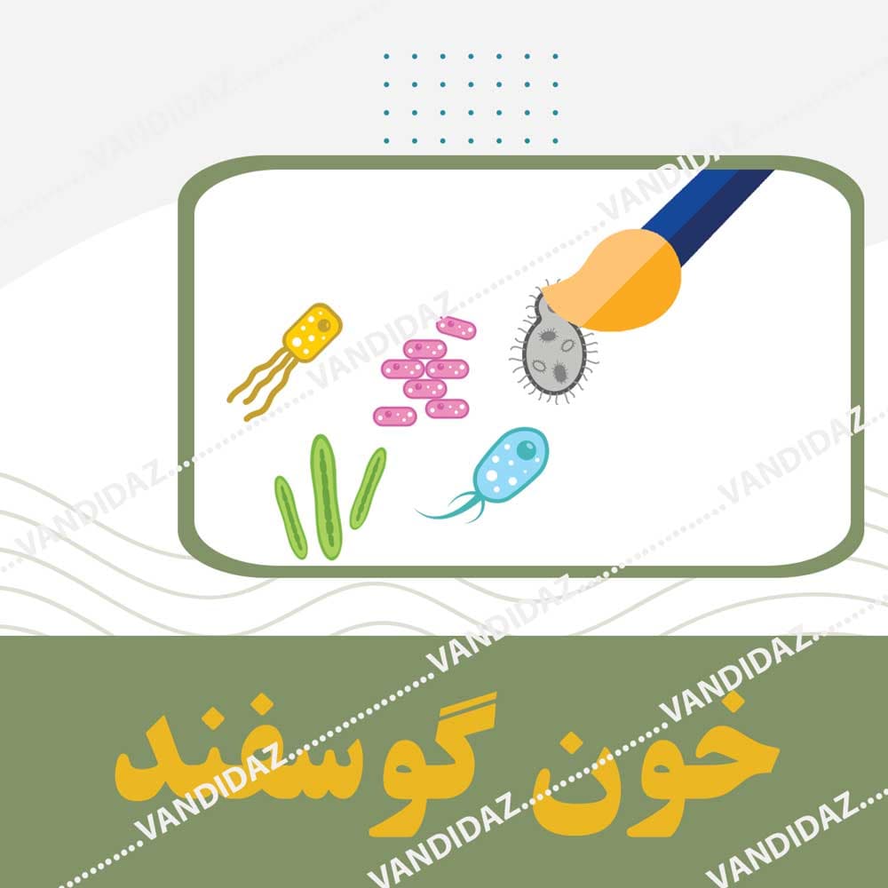 خون گوسفندی