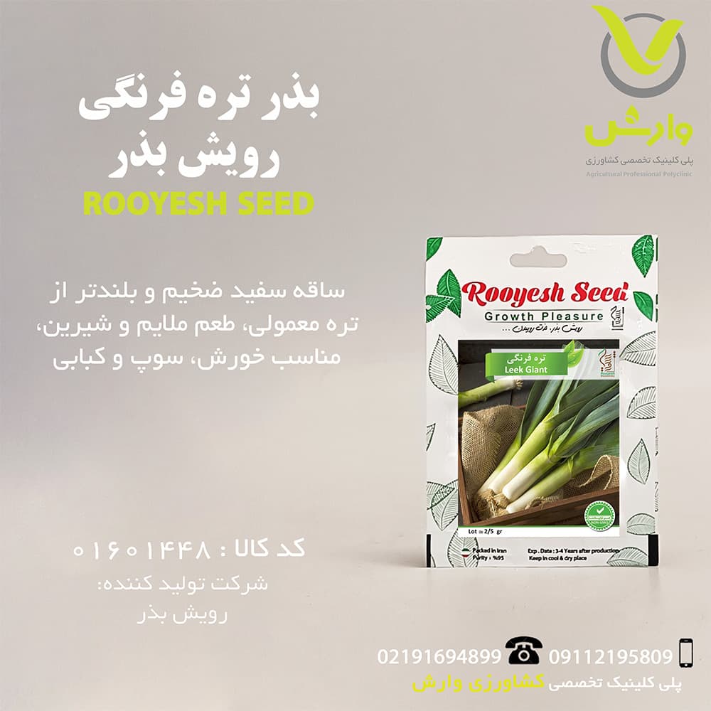 بذر تره فرنگی رویش بذر