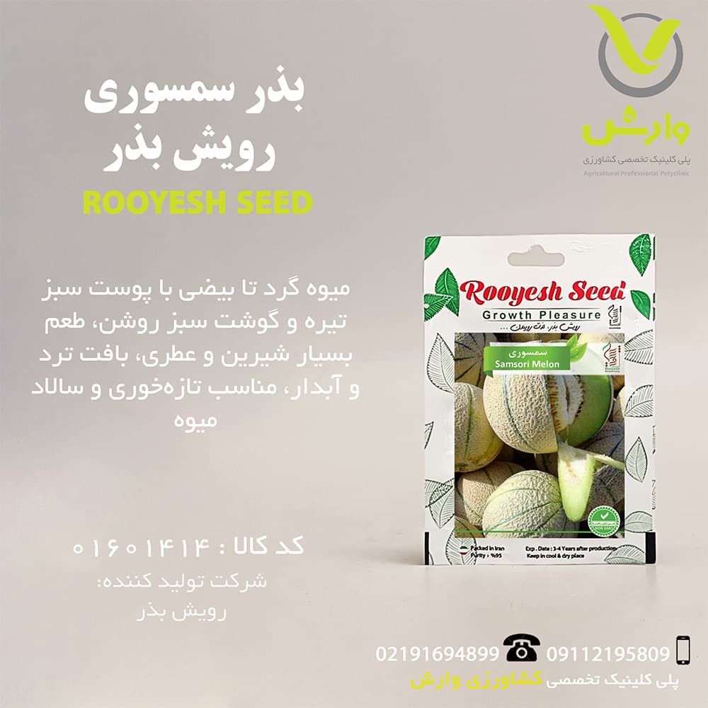 بذر سمسوری رویش بذر