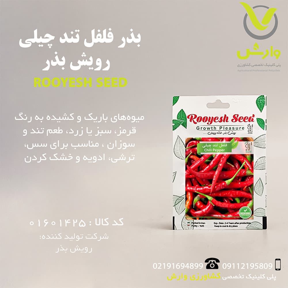 بذر فلفل تند چیلی رویش بذر