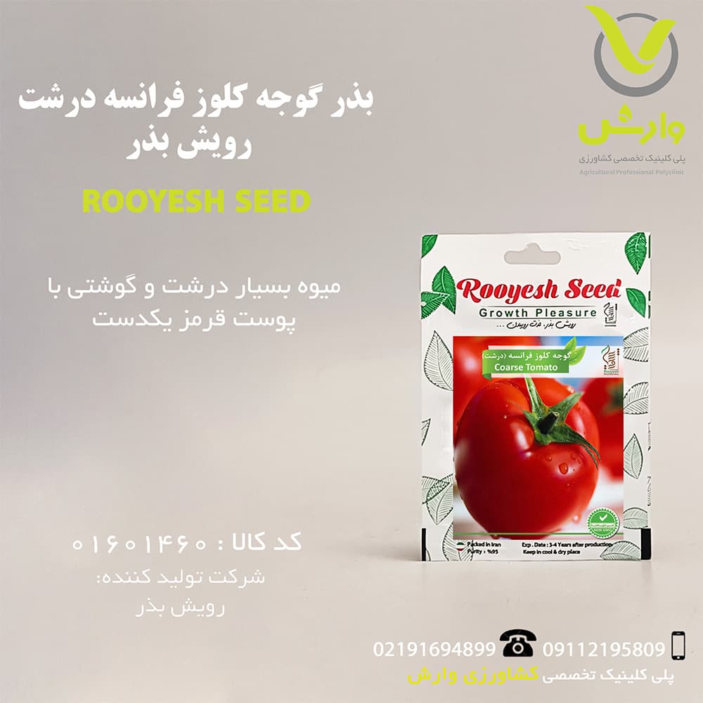 بذر گوجه کلوز فرانسه درشت رویش بذر — تصویر ۲