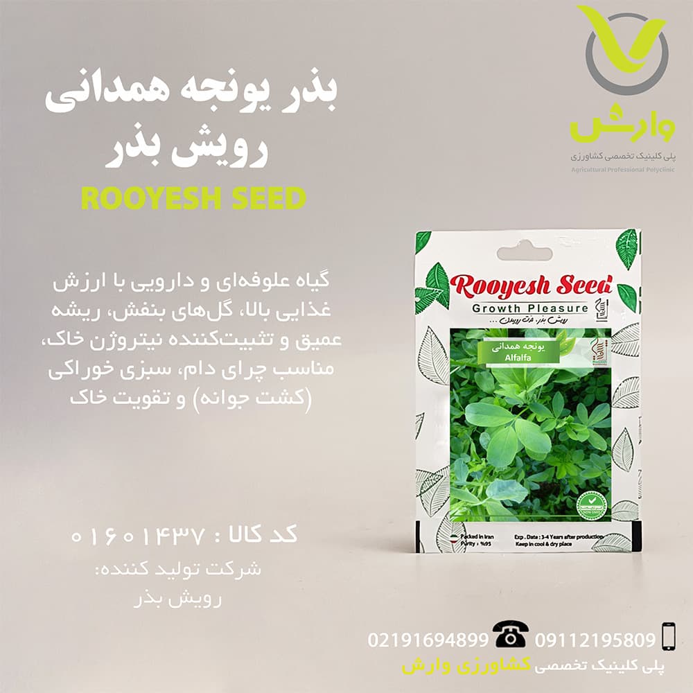بذر یونجه همدانی رویش بذر