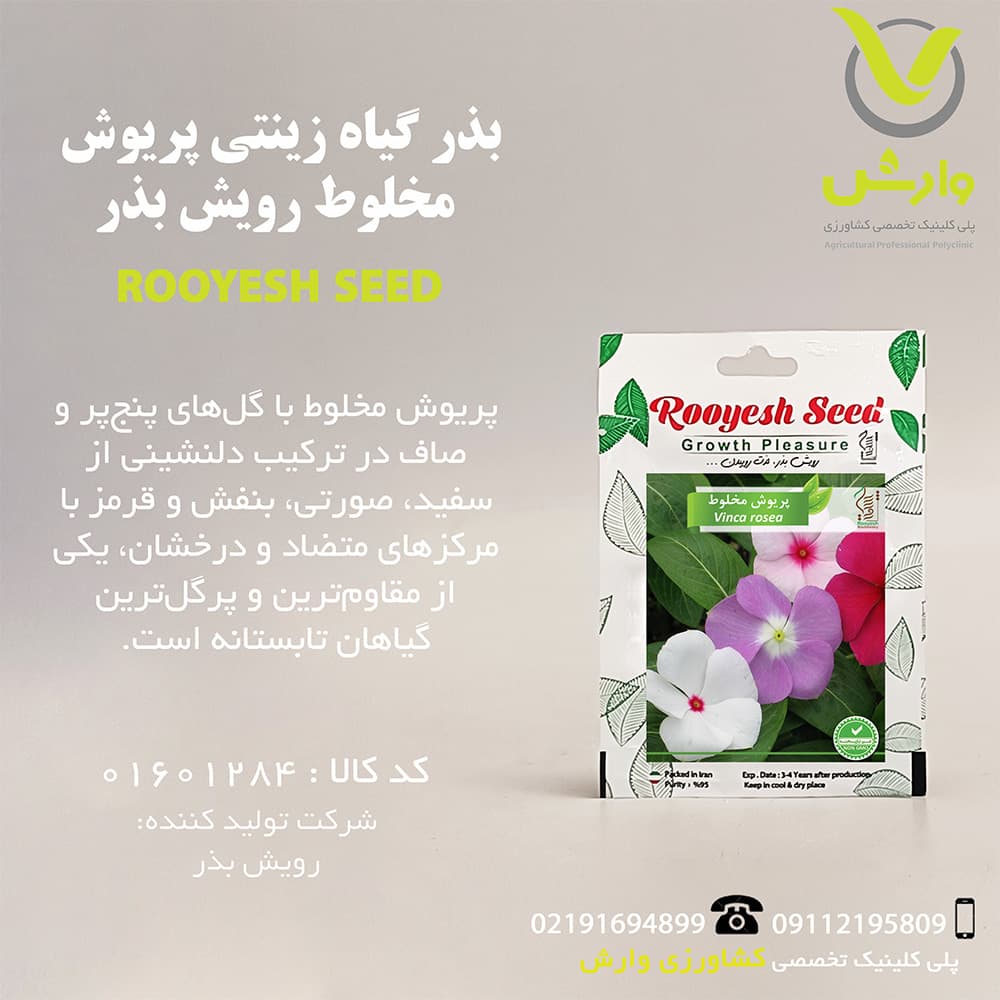 بذر گیاه زینتی پریوش مخلوط رویش بذر — تصویر ۲