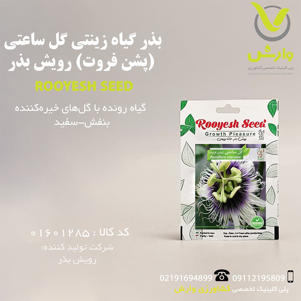 بذر گیاه زینتی گل ساعتی (پشن فروت) رویش بذر — تصویر ۲