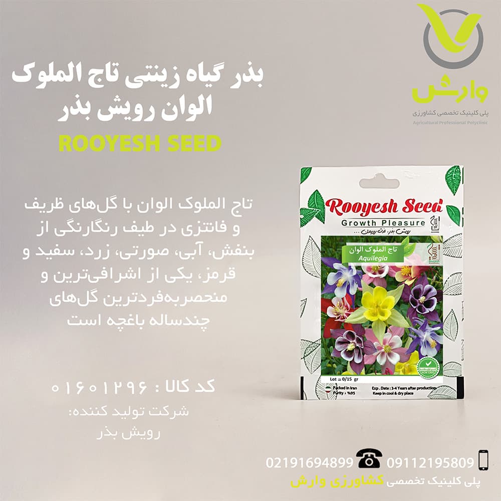 بذر گیاه زینتی تاج الملوک الوان رویش بذر