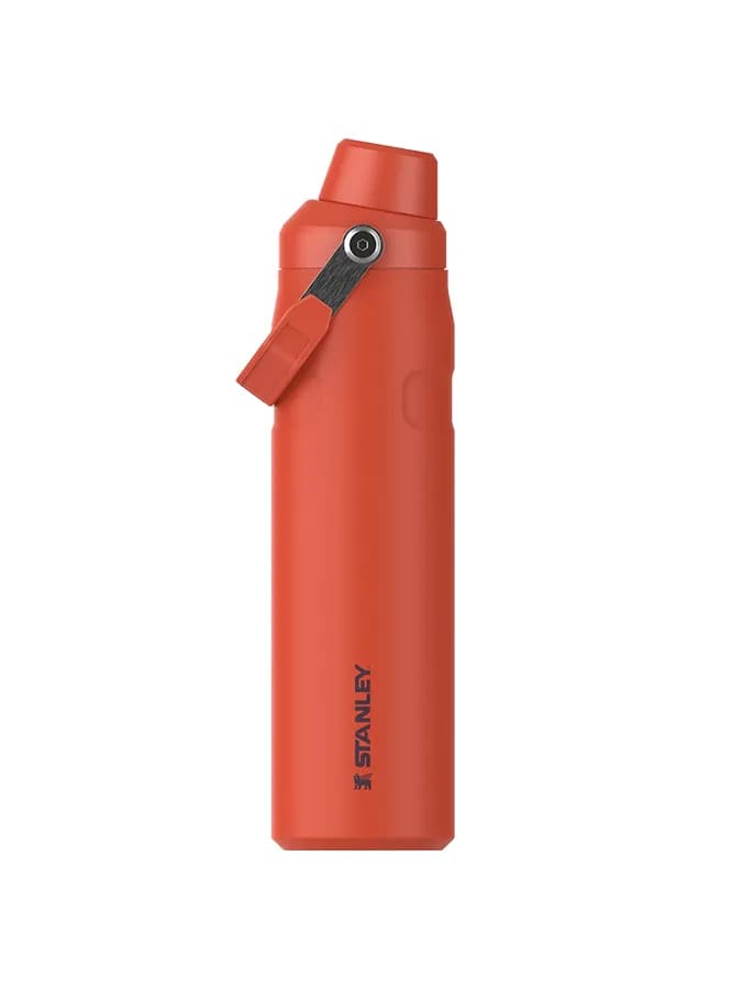 قمقمه استنلی | Stanley IceFlow™ Bottle with Fast Flow Lid 20 OZ — تصویر ۳