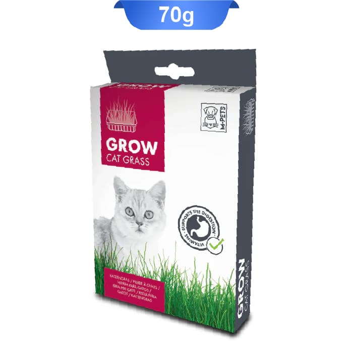 علف گربه ام پت وزن 70 گرم M-Pets Grow Cat Grass