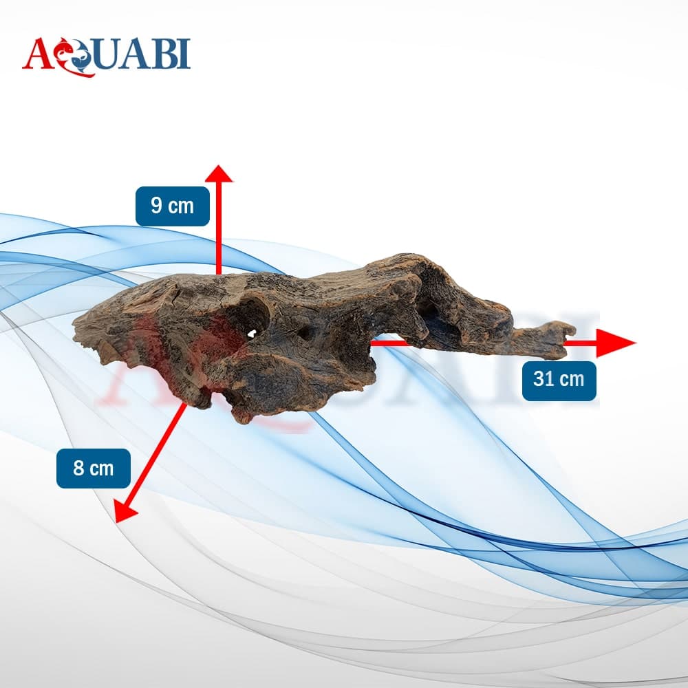 تنه چوب آبنوس آکواریوم AB-234