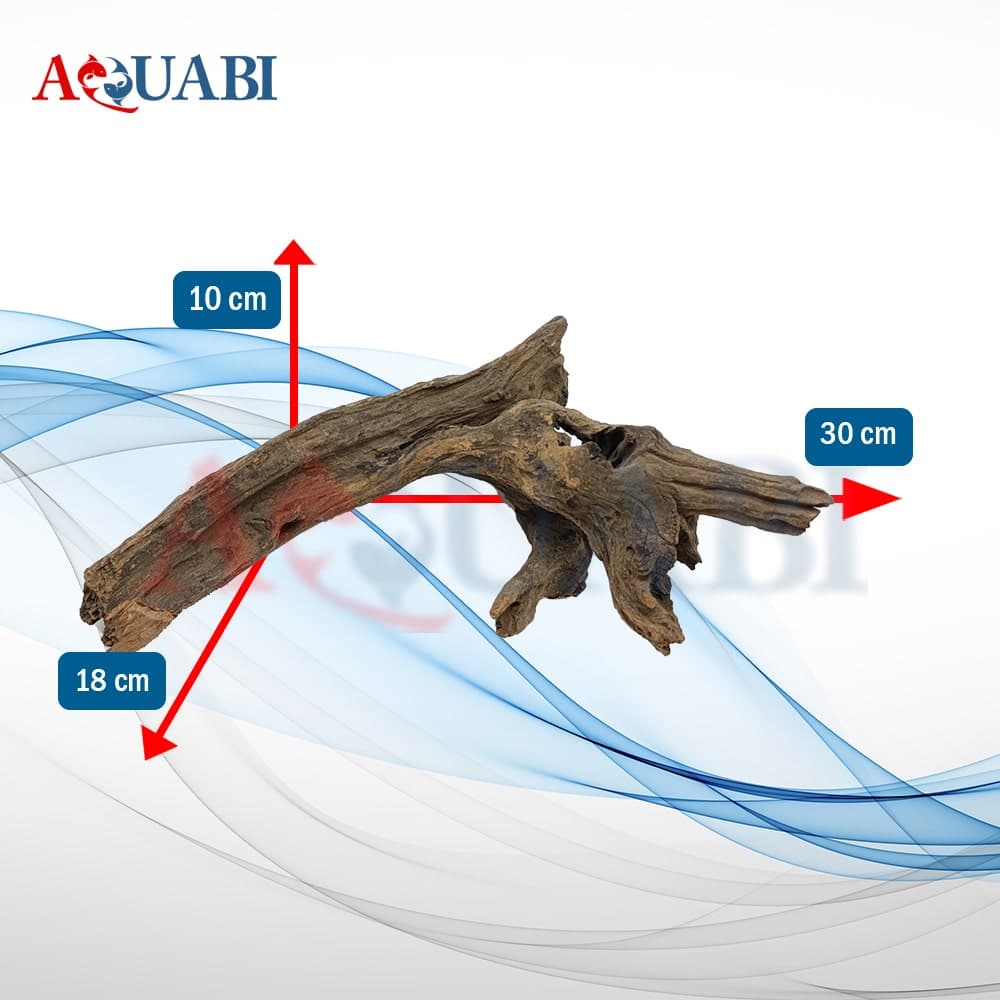 تنه چوب آبنوس آکواریوم AB-229