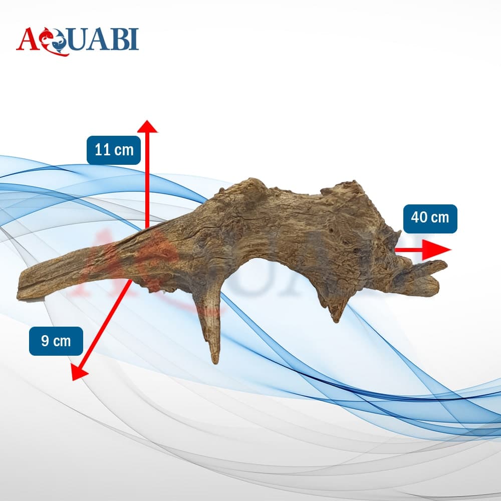 تنه چوب آبنوس آکواریوم AB-226