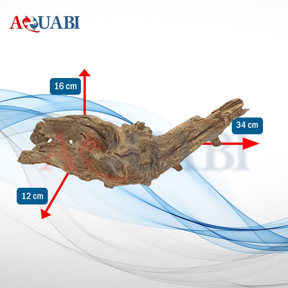 تنه چوب آبنوس آکواریوم AB-224