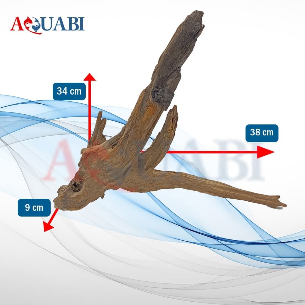 تنه چوب آبنوس آکواریوم AB-222