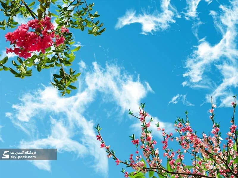 آسمان مجازی طرح آسمان و درختان — تصویر ۲