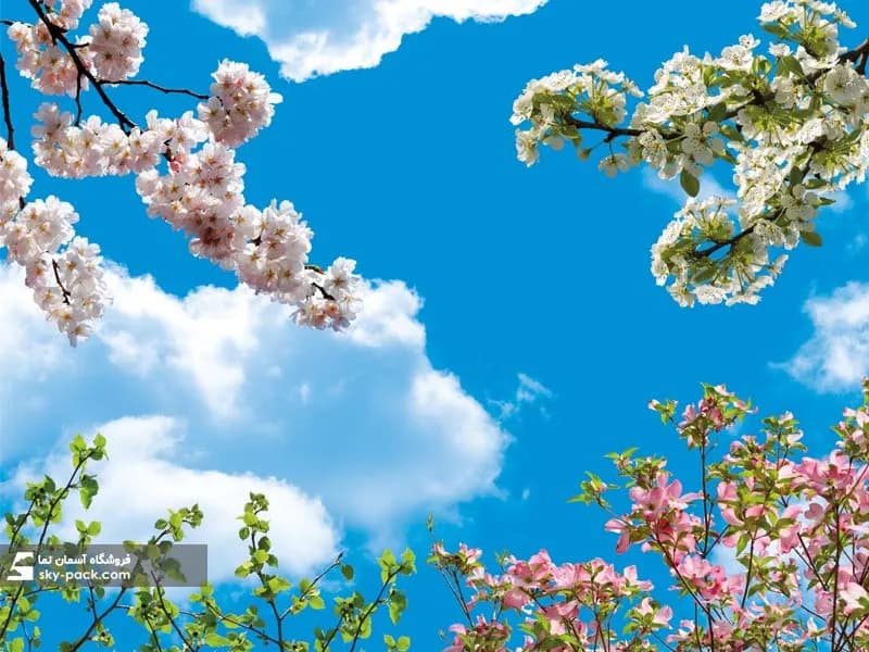 آسمان مجازی آشپزخانه طرح گل و شکوفه